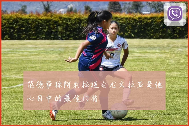 范德萨称阿利松适合尤文拉亚是他心目中的最佳门将